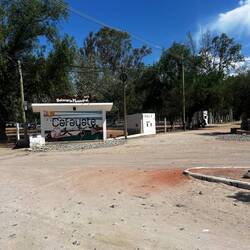 Von Salta ging's nach Cafayate