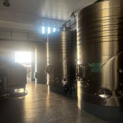 Bevor es dann zur zweiten Bodega ging