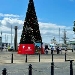 Christmas Tree on the dock