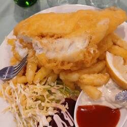 Southland Blue Cod