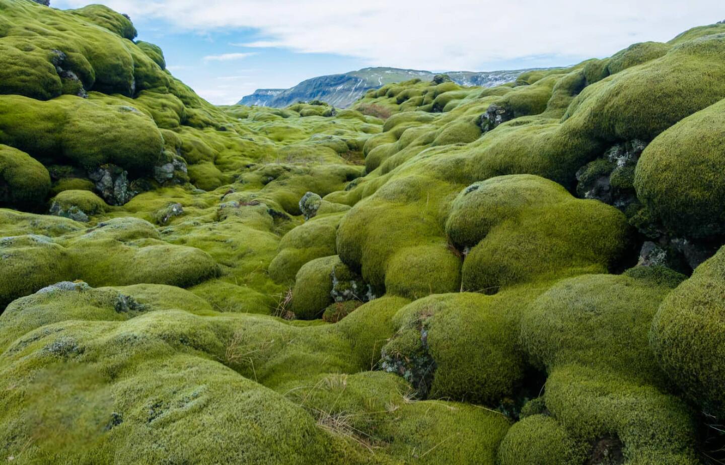 What we were supposed to see!