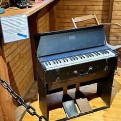 Original pump (or field) organ