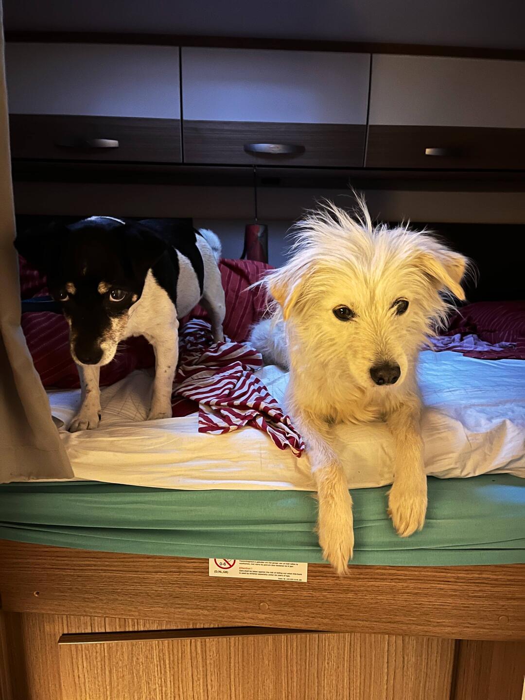 Ja, es war sehr gemütlich immer zusammen im Bett zu schlafen aber morgens musste dann schnell aufges