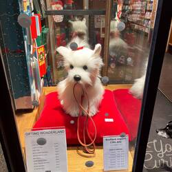 wo ist denn meine Snowy?