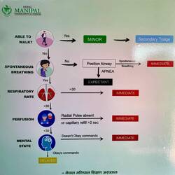Ersteinschätzung der Patienten