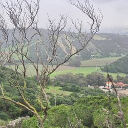 Aussicht von Vejer ins Tal
