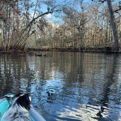 The other half of the fam minus the photographer