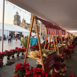 Weihnachtsmarkt 😍