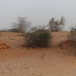 In den Felsen sind viele Höhlen - darin wohnen vermutlich Nager, die für ein Foto zu schnell rannten