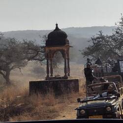 Alleine waren wir nicht!