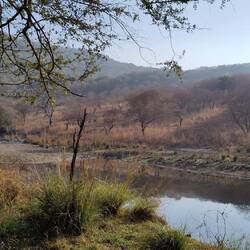 Ein Eisvogel Suchbild ;-)