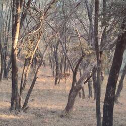 Und dann waren sie plötzlich da!