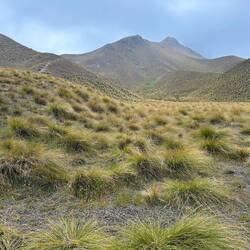 Lindis Pass
