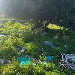 And sadly last but not least ! Rare to find a street not with rubbish.