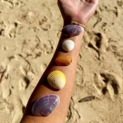 Tom hard aan het werk gezet