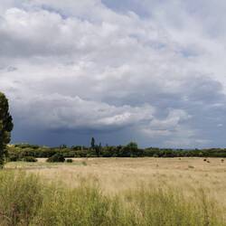 Hoffentlich bekommen wir nicht noch den Regen ab