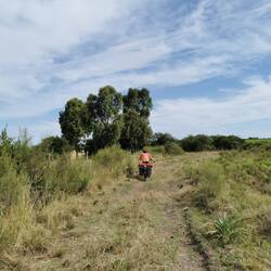 Der Weg ist eher ein Trampelpfad auf einer Kuhweide
