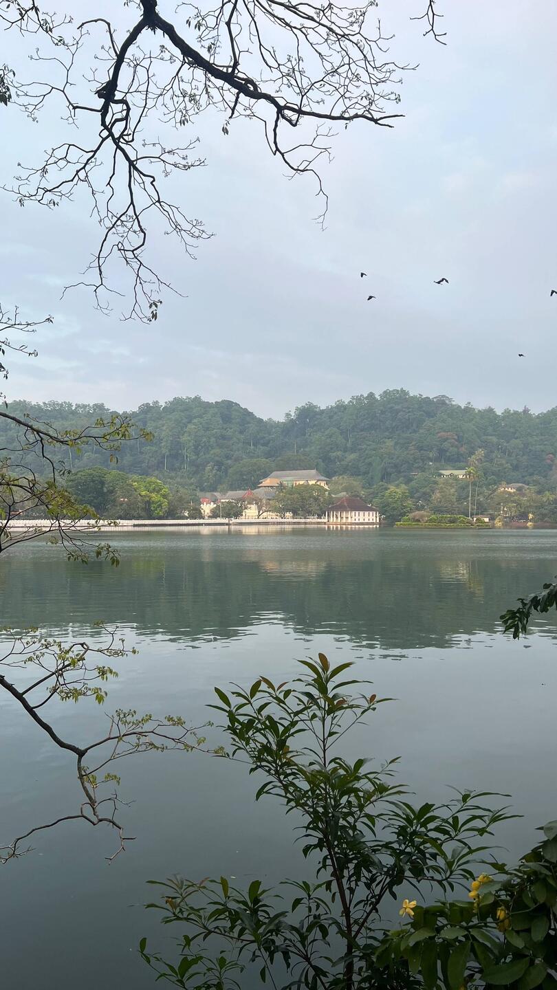 Zahntempel am Kandy Lake