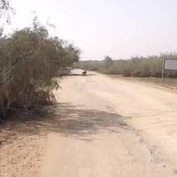 Wenn man anhält, sind die Schweine meist schon weg - daher ein Video während der Fahrt