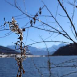 Am Haidersee, Reschenpass
