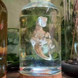 Genuine dinosaur embryo