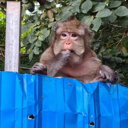 Der Wonneproppen hat definitiv schon zu viel Futter bekommen