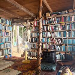 Unsere hauseigene Bibliothek.