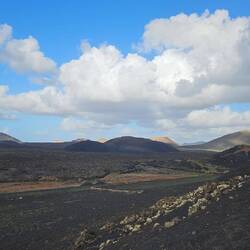 Blick über den Weinbau zwischen den Vulkanen