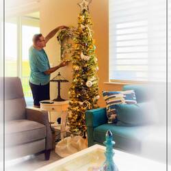 Putting up the tree in August = the house will be ready for the holidays when we return in December.