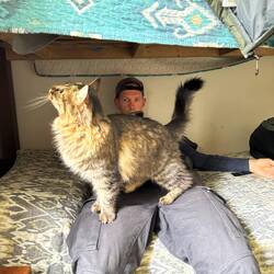 Altro paese altro amicio 🐱