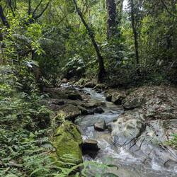 The walk to the waterfall followed the river below. It was more of a dirt road than a path at times