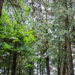 L'entrée de notre camping !