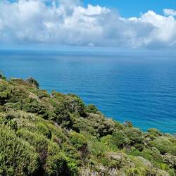 The Tasman Sea