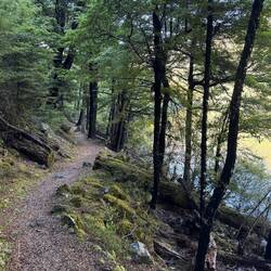 Entlang des Rotoiti