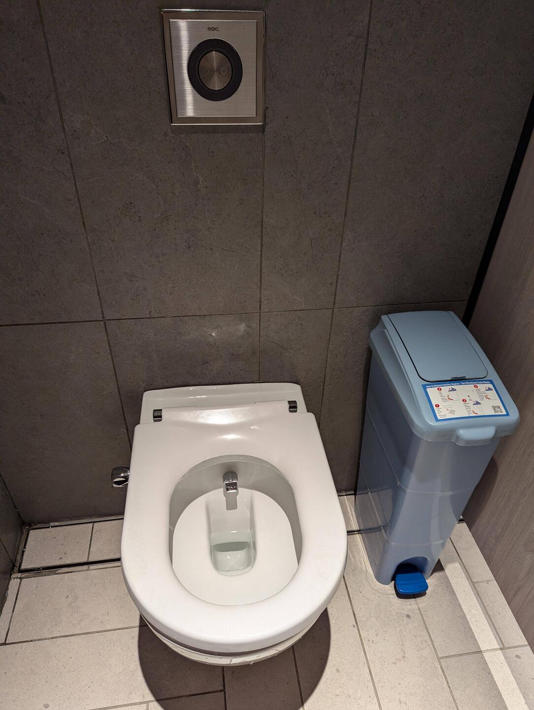 No bin for TP, and this was a toilet in a very fancy mall, so I assume the expect TP to be flushed