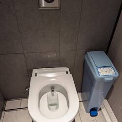 No bin for TP, and this was a toilet in a very fancy mall, so I assume the expect TP to be flushed