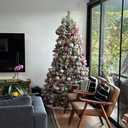 der Weihnachtsbaum dreht sich sogar 😍
