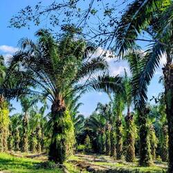 Wunderschöne Landschaft entlang der Straße