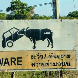 Straßenschilder der besonderen Art