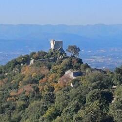 Die Burg
