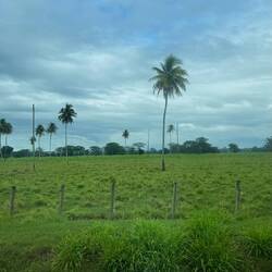 Fahrt nach "San Ignacio"