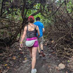Then became dense woodlands