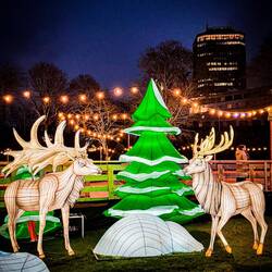 Non si bada a spese in fatto di addobbi..!