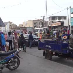 Ein Blick auf den Markt