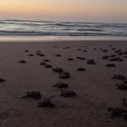 Ab ins Wasser, Jungs und Mädels!