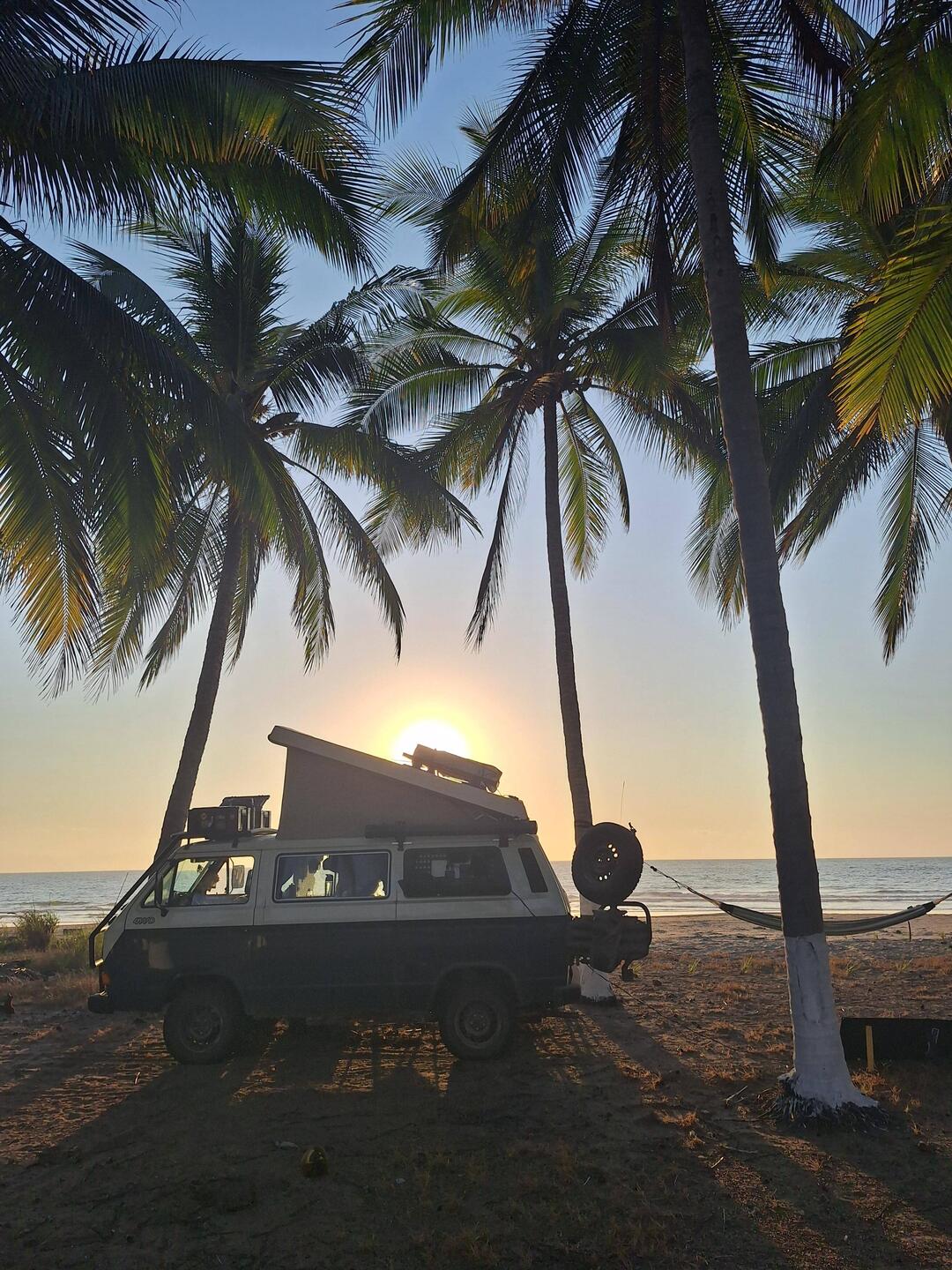 Sonnenuntergang zwischen Palmen