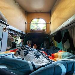 Aussicht vom Schlafplatz...durch die Luke in die Palmen