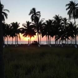 Drohnenflug zum Ozean