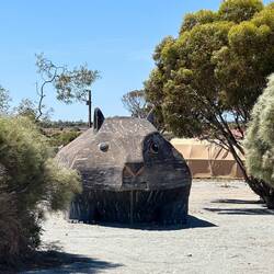 Ein Wombat 😅 (eher Meerschweinchen)