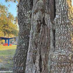 Head carving has seen better days